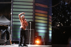 Iggy Pop – Gyárkert/Veszprém, július 30.
