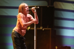 Iggy Pop – Gyárkert/Veszprém, július 30.