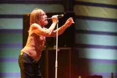 Iggy Pop – Gyárkert/Veszprém, július 30.