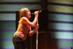 Iggy Pop – Gyárkert/Veszprém, július 30.