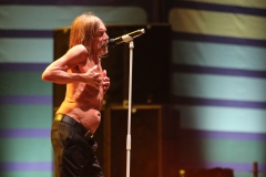 Iggy Pop – Gyárkert/Veszprém, július 30.