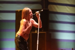 Iggy Pop – Gyárkert/Veszprém, július 30.