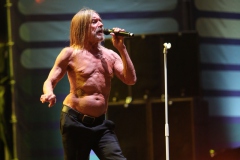 Iggy Pop – Gyárkert/Veszprém, július 30.