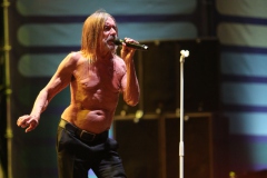Iggy Pop – Gyárkert/Veszprém, július 30.