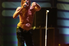 Iggy Pop – Gyárkert/Veszprém, július 30.