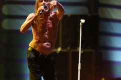 Iggy Pop – Gyárkert/Veszprém, július 30.