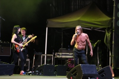 Iggy Pop – Gyárkert/Veszprém, július 30.