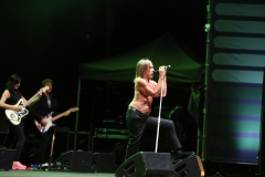 Iggy Pop – Gyárkert/Veszprém, július 30.