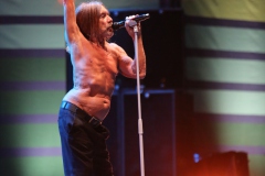 Iggy Pop – Gyárkert/Veszprém, július 30.