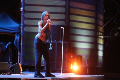 Iggy Pop – Gyárkert/Veszprém, július 30.