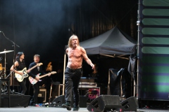 Iggy Pop – Gyárkert/Veszprém, július 30.