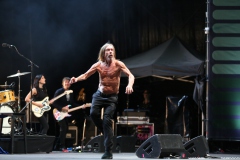 Iggy Pop – Gyárkert/Veszprém, július 30.