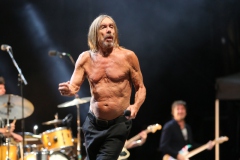 Iggy Pop – Gyárkert/Veszprém, július 30.