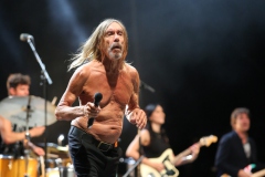 Iggy Pop – Gyárkert/Veszprém, július 30.