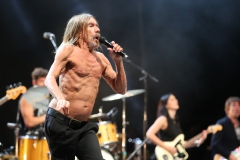 Iggy Pop – Gyárkert/Veszprém, július 30.