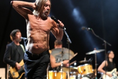 Iggy Pop – Gyárkert/Veszprém, július 30.
