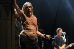 Iggy Pop – Gyárkert/Veszprém, július 30.