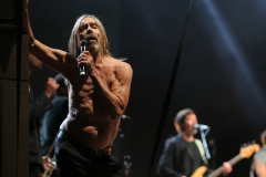 Iggy Pop – Gyárkert/Veszprém, július 30.