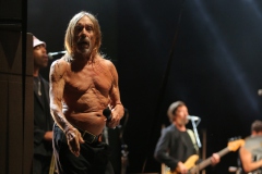 Iggy Pop – Gyárkert/Veszprém, július 30.