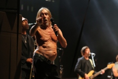 Iggy Pop – Gyárkert/Veszprém, július 30.