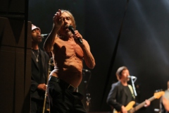 Iggy Pop – Gyárkert/Veszprém, július 30.