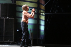 Iggy Pop – Gyárkert/Veszprém, július 30.