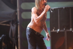 Iggy Pop – Gyárkert/Veszprém, július 30.