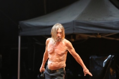 Iggy Pop – Gyárkert/Veszprém, július 30.