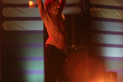 Iggy Pop – Gyárkert/Veszprém, július 30.