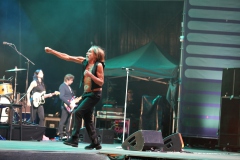 Iggy Pop – Gyárkert/Veszprém, július 30.