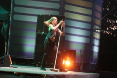 Iggy Pop – Gyárkert/Veszprém, július 30.