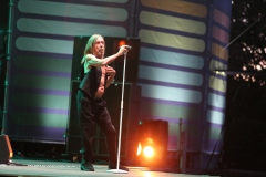 Iggy Pop – Gyárkert/Veszprém, július 30.