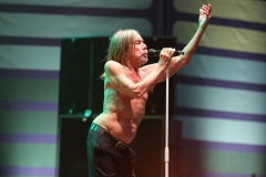 Iggy Pop – Gyárkert/Veszprém, július 30.