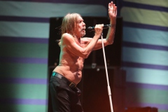 Iggy Pop – Gyárkert/Veszprém, július 30.