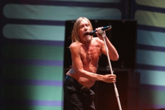 Iggy Pop – Gyárkert/Veszprém, július 30.