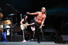 Iggy Pop – Gyárkert/Veszprém, július 30.