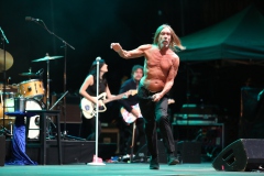 Iggy Pop – Gyárkert/Veszprém, július 30.