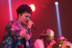 Irie Maffia koncert, vendég: Los Orangutanes