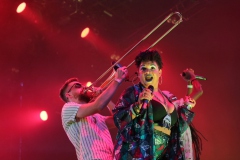 Irie Maffia koncert, vendég: Los Orangutanes
