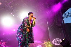 Irie Maffia koncert, vendég: Los Orangutanes