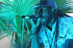 Irie Maffia koncert, vendég: Los Orangutanes