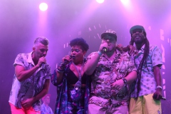Irie Maffia koncert, vendég: Los Orangutanes