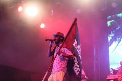 Irie Maffia koncert, vendég: Los Orangutanes