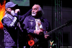 Karthago 45 koncert