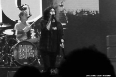 Mr.Big/Jared James Nichols koncert - Barba Negra Red Stage 24-04-07