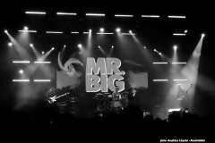 Mr.Big/Jared James Nichols koncert - Barba Negra Red Stage 24-04-07
