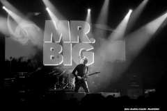 Mr.Big/Jared James Nichols koncert - Barba Negra Red Stage 24-04-07