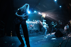 3L8A1537