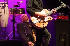 Quimby koncert