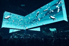 Roger Waters - Budapest, MVM Dome, 2023. 04.23.